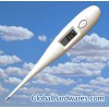 Digital thermometer