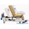 Multi-function Electric Bed (DA-10)