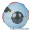 Anatomy of Magnified Eyeball
