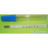 Clinical Thermometer (Oral Using CR-W11)