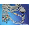 Mortara 10-Lead EKG Cable with Leadwires (EC019A)