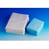 Disposable Underpad