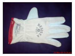 Thermal Gloves