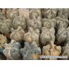used pdc bit wanted