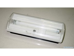 Emergency light