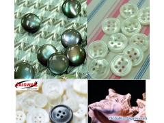 agoya shell buttons