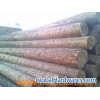 buy Sylvestris Pine Logs