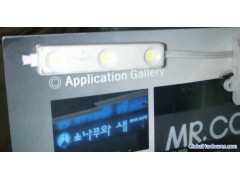 LED Module