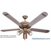 intrested in byuing electric ceiling fans