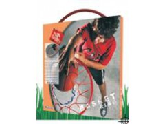 Basketball and Basket