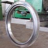 sell large size slewing ring RKS.901175101001