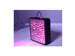California Where to sell cheaper led grow lights hydroponics图2