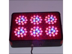 Particularly good quality and low price Led hydroponics grow lighting special图3