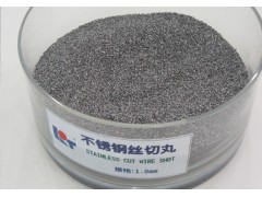 Stainless Steel Cut Wire Shot 0.2mm~1.0mm图2